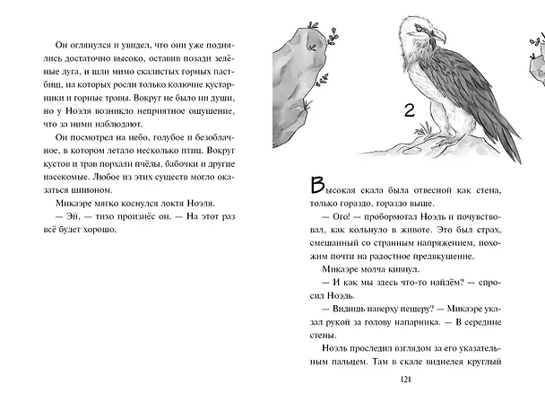 Книга Сердце льва (Джина Майер) — 8
