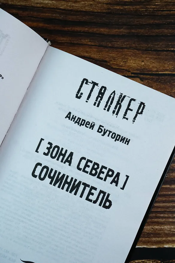 Книга Зона Севера. Сочинитель (Андрей Буторин) — 9