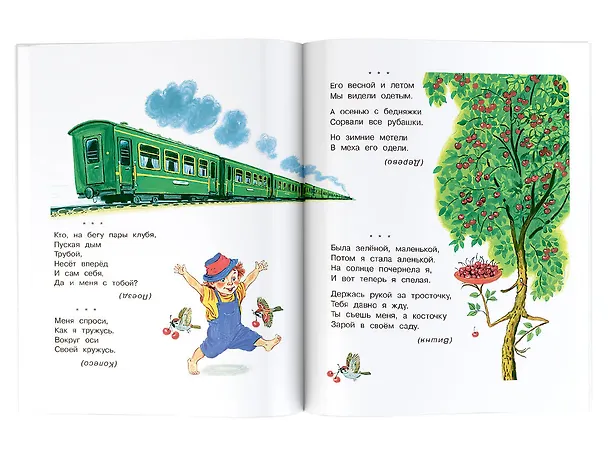 Книга Загадки в стихах и картинках (Сергей Михалков, Самуил Маршак, Корней Чуковский) — 9