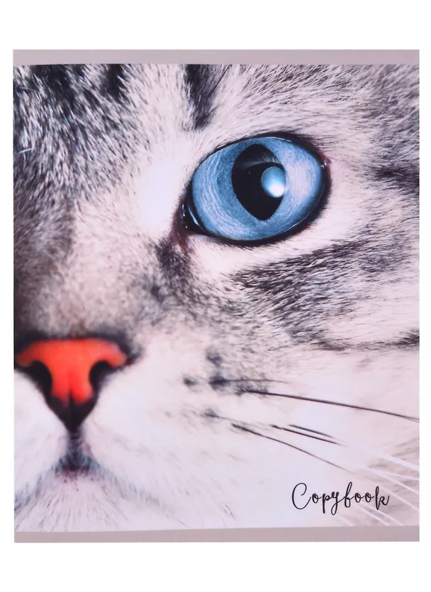 Тетрадь общая «Cat eye» в ассортименте, 48 листов в клетку, A5 - Listoff 2883047 — 1