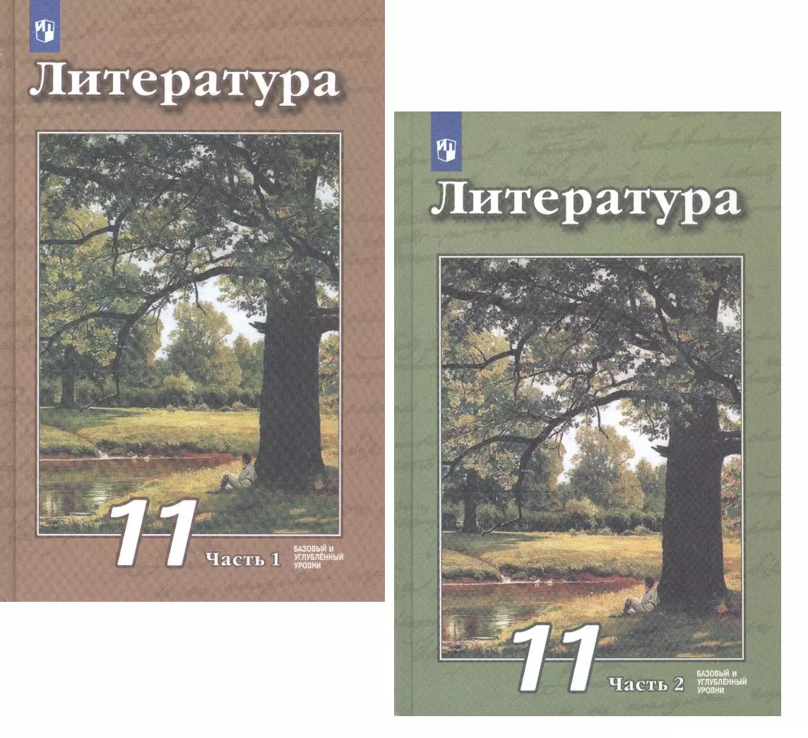 Литература. 11 класс. Базовый и углубленный уровни. Учебник (комплект из 2  книг)