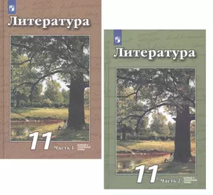 Литература. 11 класс. Базовый и углубленный уровни. Учебник (комплект из 2 книг) — 2801574 — 1