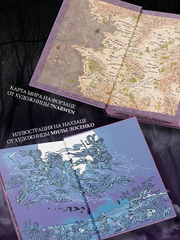 Книга Меч предназначения (с мерчем) (Анджей Сапковский) — 8