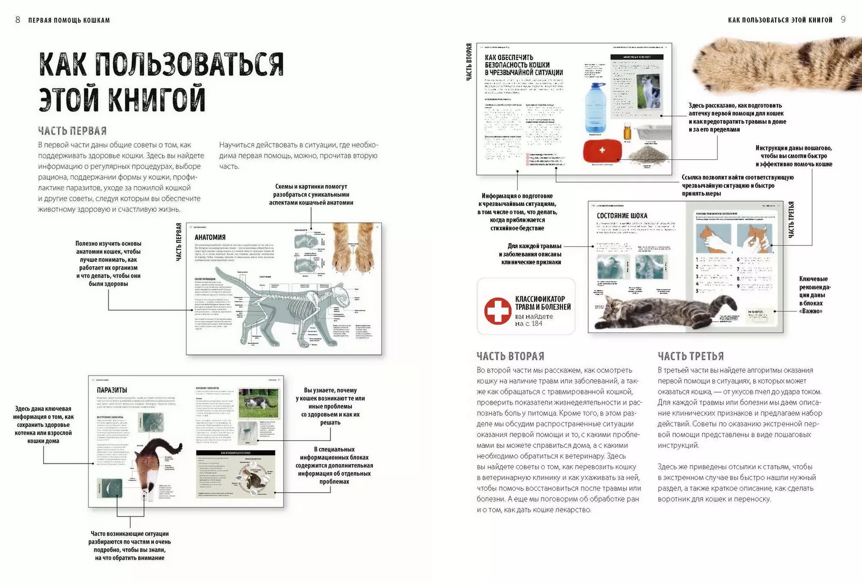 Первая помощь кошкам. Осмотр, действия в экстренных ситуациях, аптечка первой  помощи, здоровье (Дженнифер Паркер) - купить книгу с доставкой в  интернет-магазине «Читай-город». ISBN: 978-5-00195-009-7