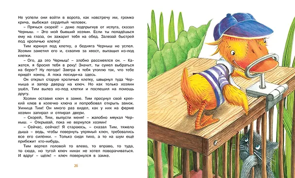 Книга Знаменитый утёнок Тим (Энид Блайтон) — 6