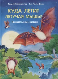 Куда летит летучая мышь? Познавательные истории