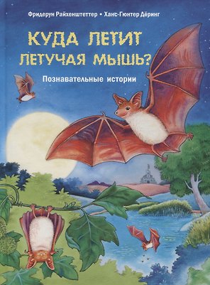 Куда летит летучая мышь? Познавательные истории