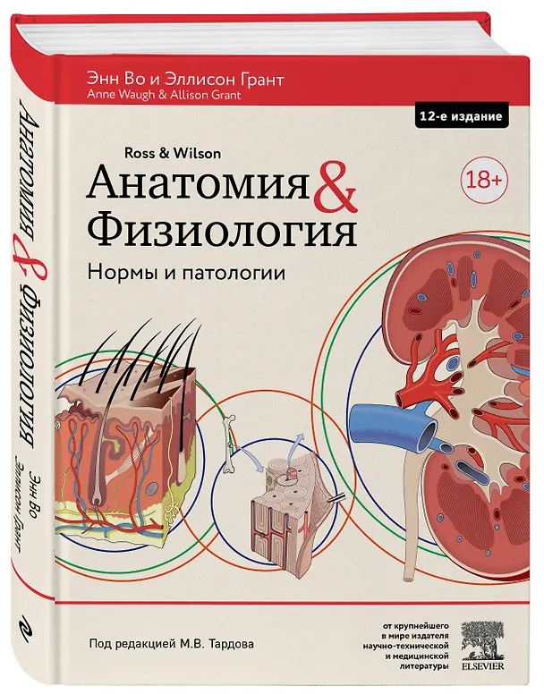 Книга Анатомия и физиология. Нормы и патологии (Энн Во) — 4