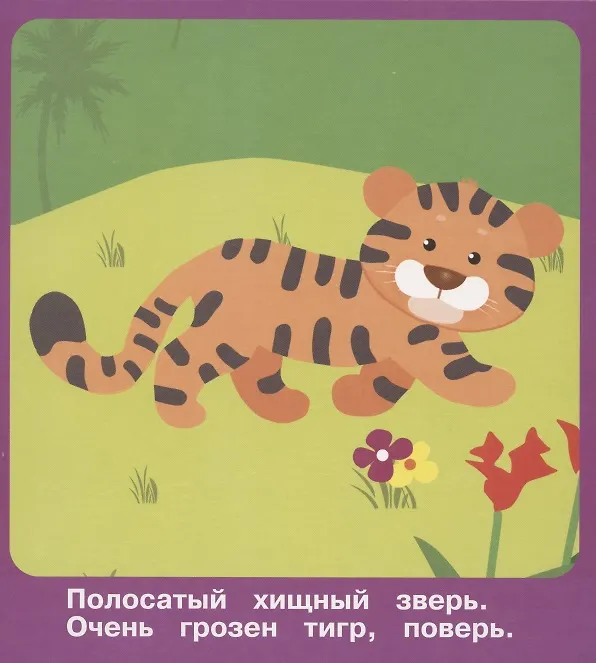 Книга Животные в зоопарке. Набор развивающих карточек () — 5