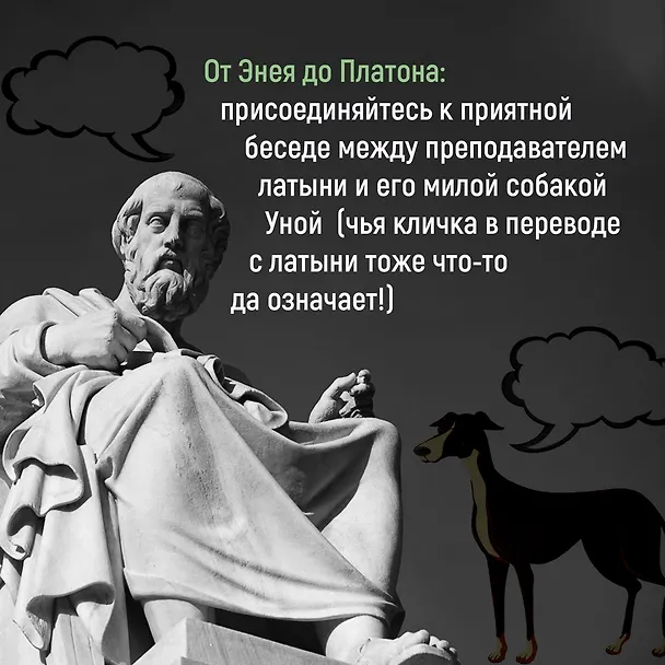 Книга Как натаскать вашу собаку по АНТИЧНОСТИ и разложить по полочкам основы греко-римской культуры (Филип Уомэк) — 6