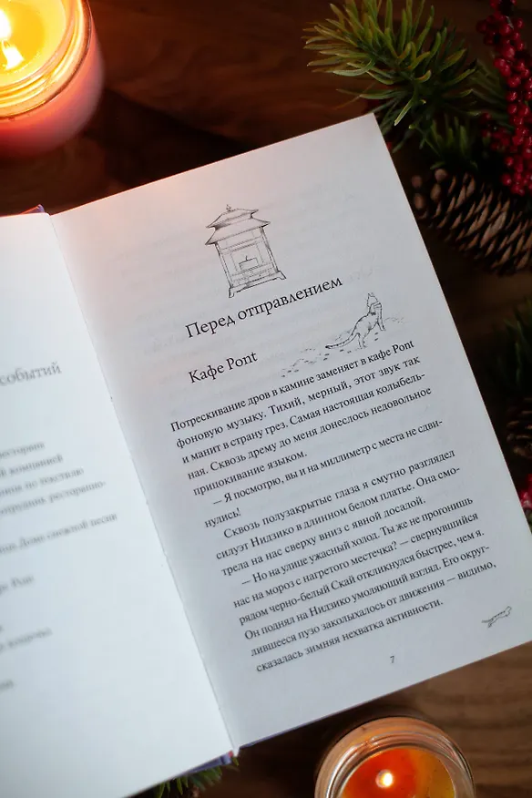 Книга Рыжий кот Фута и затерянный домик в горах (Наги Симэно) — 13