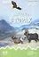 Высоко в горах: наглядно-дидактическое пособие. ФГОС — 2460752 — 2