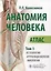 Анатомия человека. Атлас. В 3 томах. Том 1. Остеология, артросиндесмология, миология — 3021891 — 1