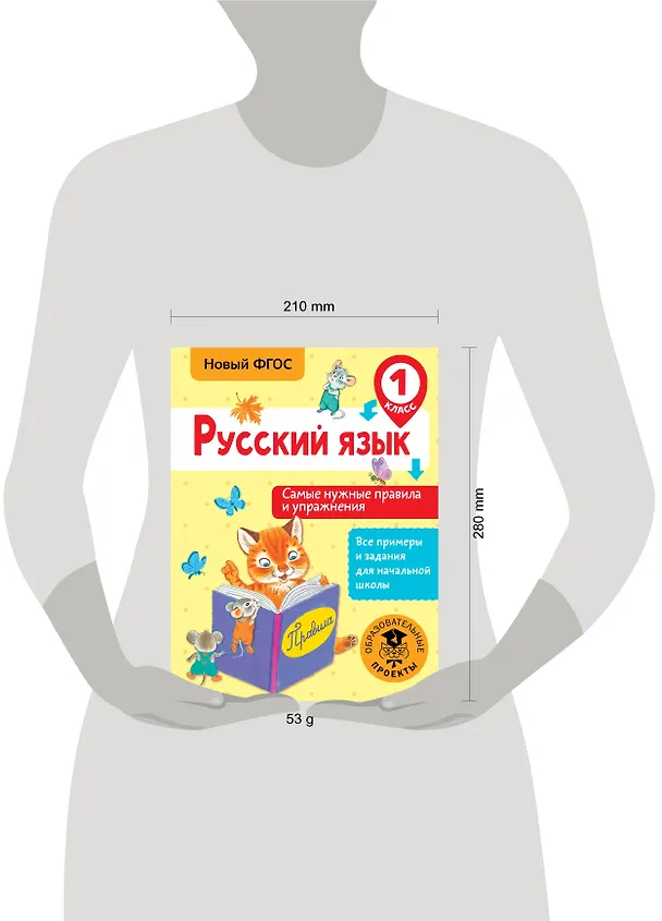Книга Русский язык. Самые нужные правила и упражнения. 1 класс (Наталия Шевелёва) — 3