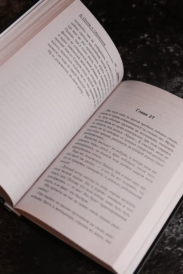 Книга Закон выжженной земли (Дмитрий Силлов, Любовь Оболенская) — 11