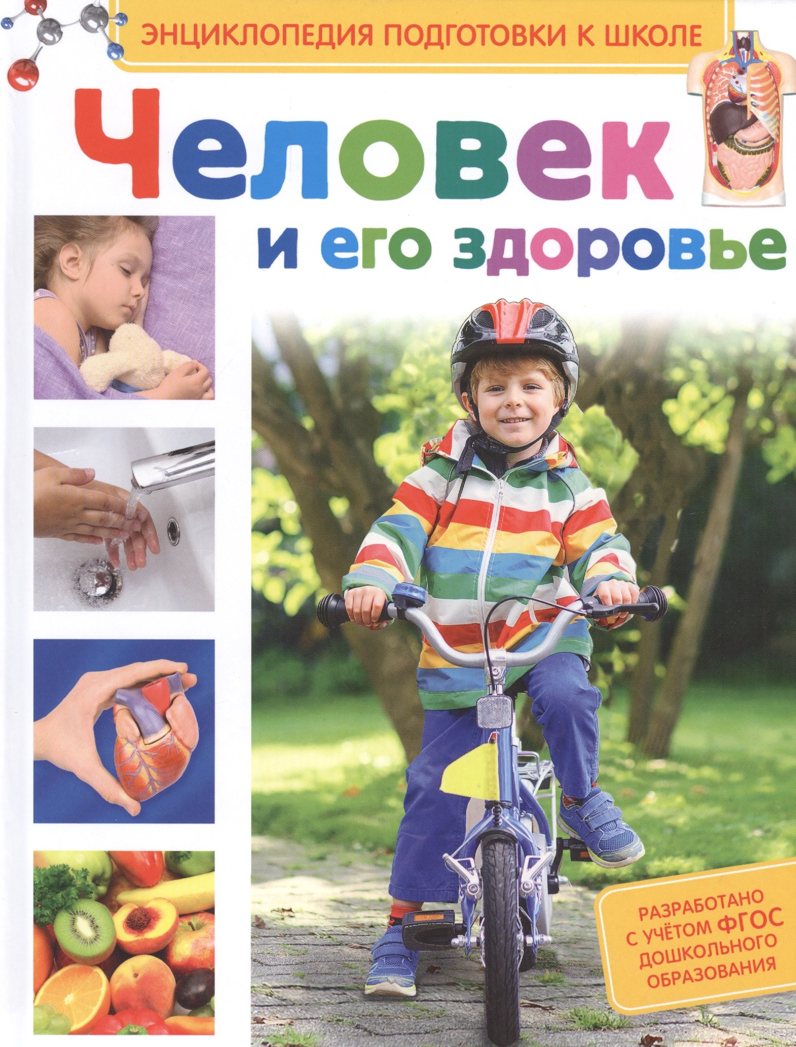 

Человек и его здоровье