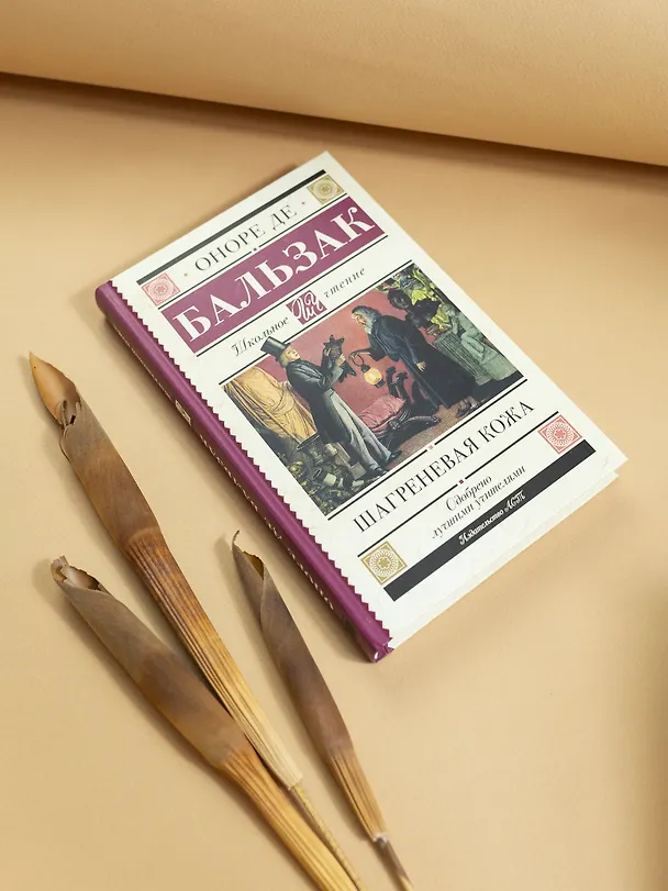 Книга Шагреневая кожа (Оноре де Бальзак) — 7