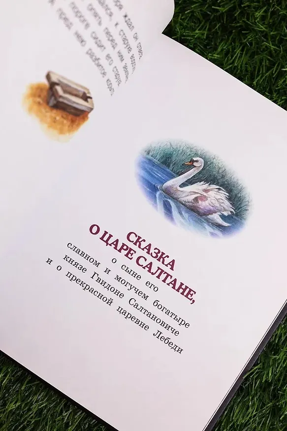 Книга Сказки (Александр Пушкин) — 11