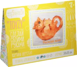 Набор TOYZY Рыжий кот (TZ-P031) (картина шерстью/30х30см) (7+) (упаковка) — 2500648 — 1