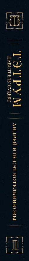 Книга Тэтрум I. Навстречу судьбе (Андрей Котельников, Иссэт Котельникова) — 4