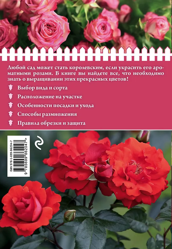 Книга Розы на дачном участке (нов.оф.) (Анна Белякова) — 2