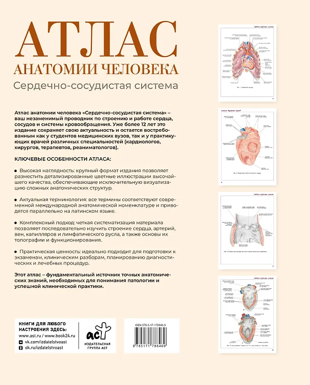 Книга Атлас анатомии человека. Сердечно-сосудистая система (Сергей Лёвкин) — 2