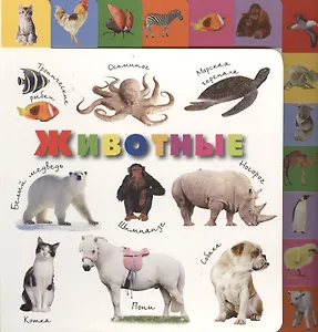 Лесенка(best/бол).Животные