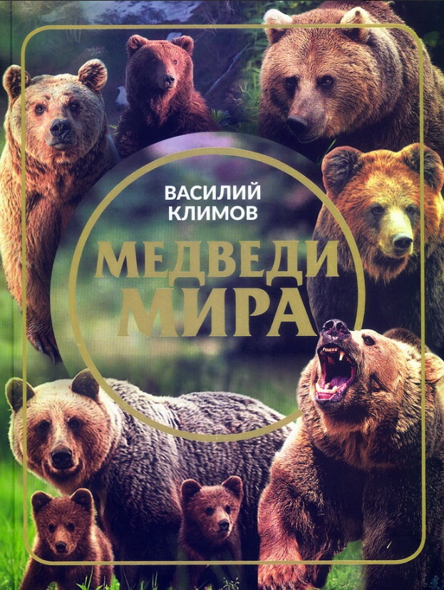 Обложка книги «Медведи мира»