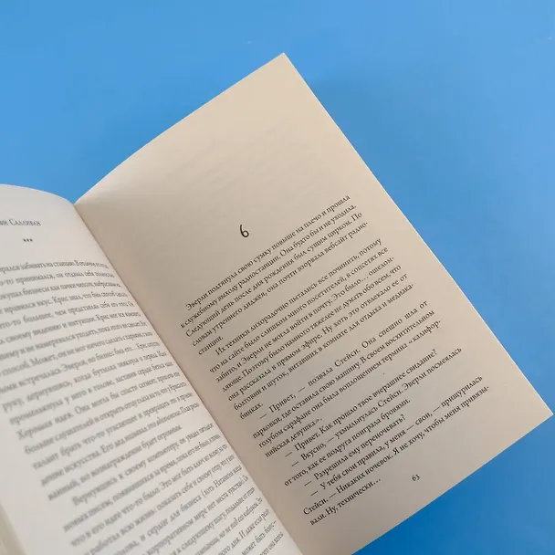 Книга Десять правил обмана (Софи Салливан) — 9