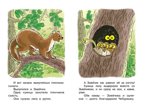 Книга Истории про Чебурашку (Эдуард Успенский) — 10