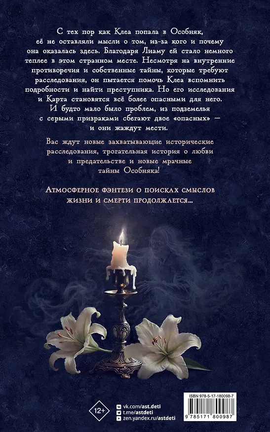 Книга Особняк. Клеа и месть призраков (Эвелин Бризу-Пеллен) — 2