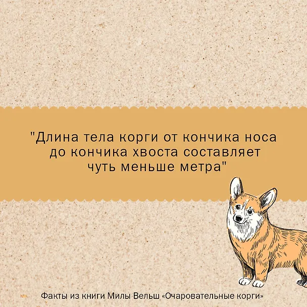 Книга Очаровательные корги: походка, которая вдохновляет! (Мила Вельш) — 6