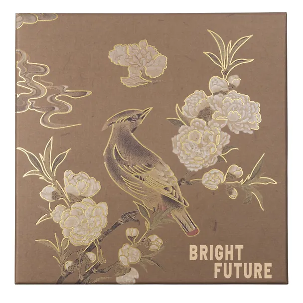 Коробка подарочная "Bright future" 18*18*7,5, картон 3104111 — 3