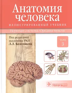 Анатомия человека.Т.3-Нервная система.Органы чувств.Учебник в 3 томах