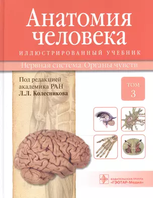 Анатомия человека.Т.3-Нервная система.Органы чувств.Учебник в 3 томах — 2513188 — 1