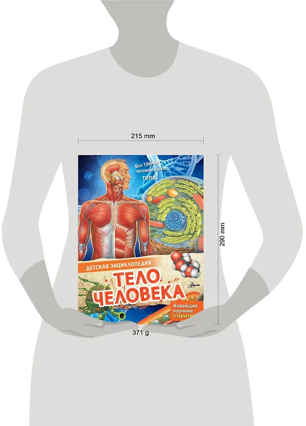 Книга Тело человека (Энн МакРей) — 12