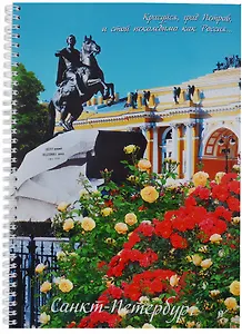 Тетрадь в клетку "СПб", А4, 96 листов, в ассортименте