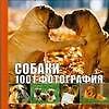 Книга Собаки. 1001 фотография () — 1