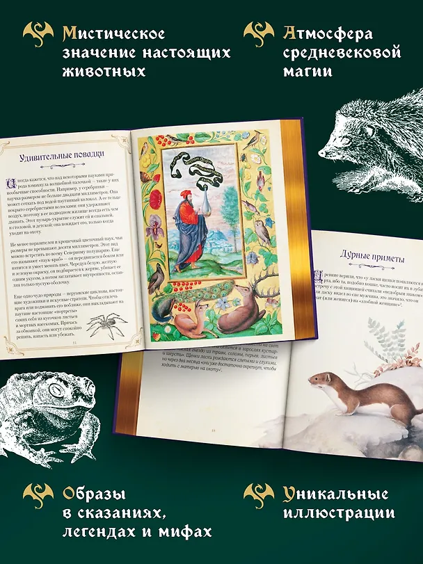 Книга Магические животные. Легенды и суеверия (Дениз Кроль-Терзаги) — 5