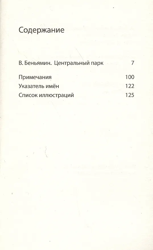 Книга Центральный парк (Вальтер Беньямин) — 2