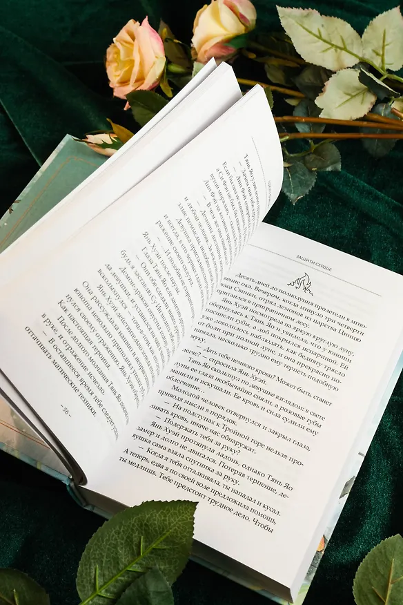 Книга Защити сердце. Книга 2 (Цзюлу Фэйсян) — 17