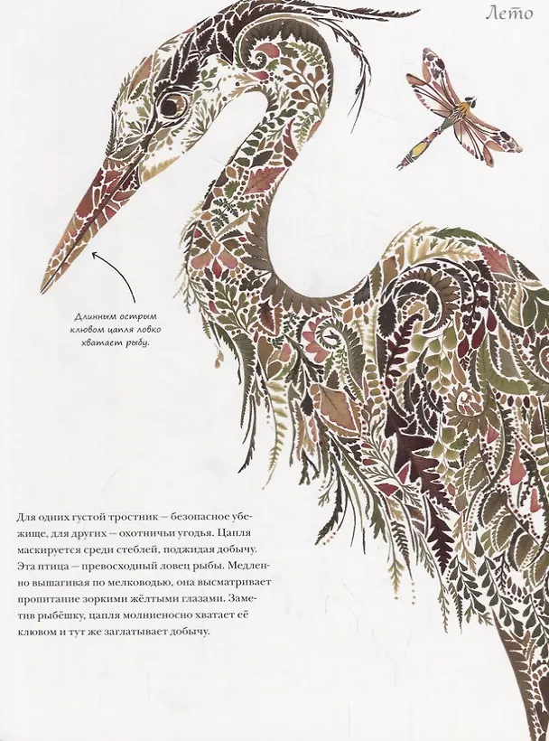 Книга Год в лесу (Хелен Апорнсири) — 5
