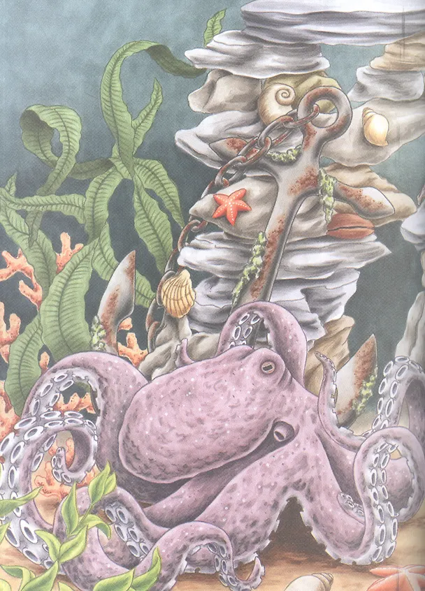 Книга Подводный мир () — 3