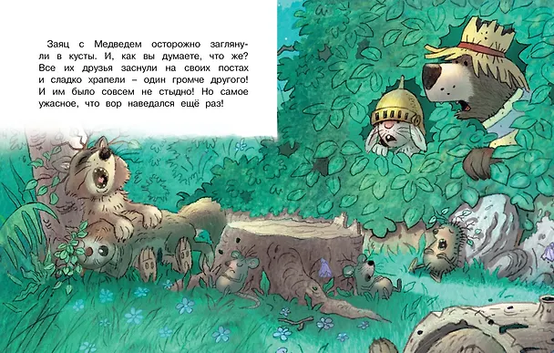 Книга Сказки Волшебного леса: Лесной воришка, Сокровища острова Бузины (Вальтер Кёсслер Валько) — 4