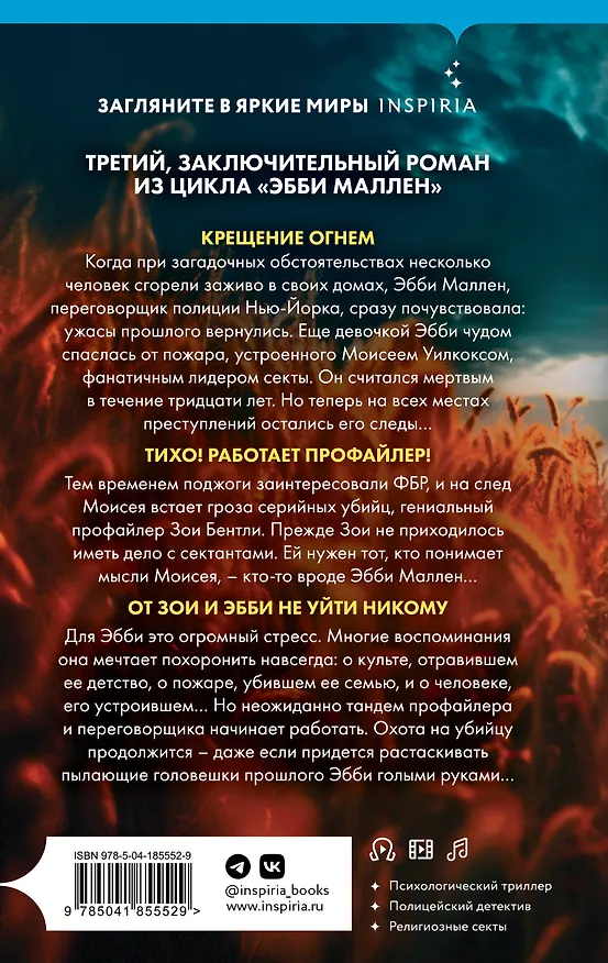 Книга Пламя одержимости (Майк Омер) — 2