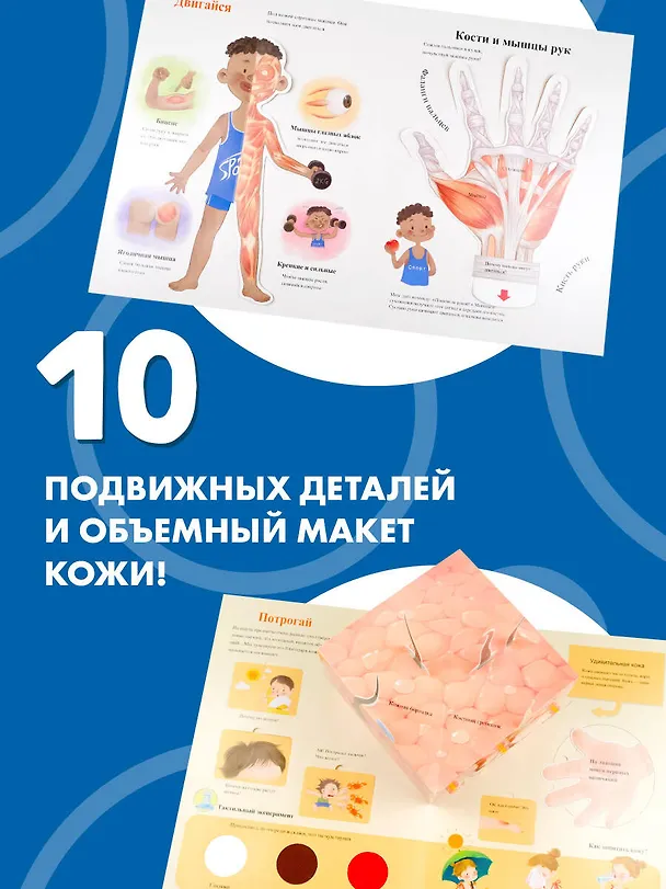 Книга Все секреты человека (Марина Сушкова) — 9
