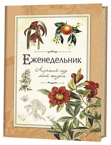 Еженедельник. Лучший год моей жизни. Оранжевый 407355 — 1
