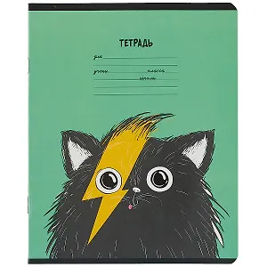 Тетрадь в клетку Феникс+, "Хип хоп команда", 12 листов, в ассортименте