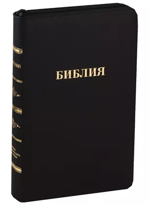 Библия (057 MZG ИИЖ) (Черная Madras) (зол. срез) (молния) (кожа) (шерш.) — 2746686 — 1