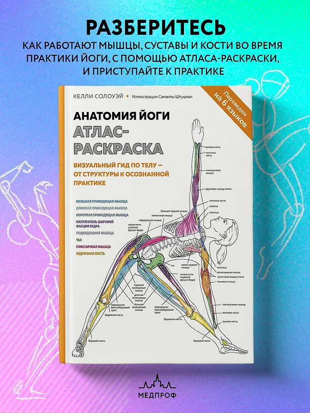 Книга Анатомия йоги: атлас-раскраска. Визуальный гид по телу — от структуры к осознанной практике (Келли Солоуэй) — 6